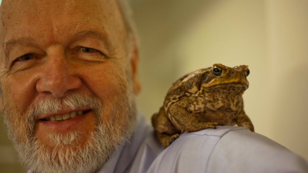 Professor Rick Shine is a cane toad expert.