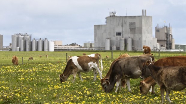 Warrnambool Cheese and Butter has posted a $1.2 million loss, citing a collapse in global dairy prices, and a farm-gate price that did not reflect the rout. 