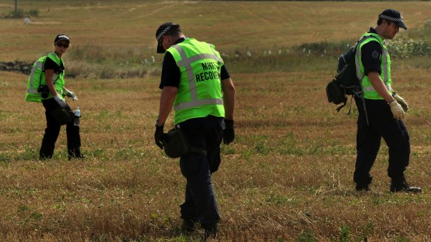 Searching for the truth: Investigators at the MH17 crash site.
