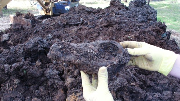 The bones were found when the property's new owners were fixing a fence.