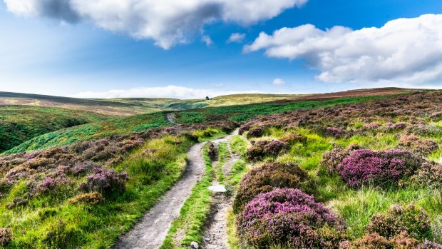 Haworth Moor.