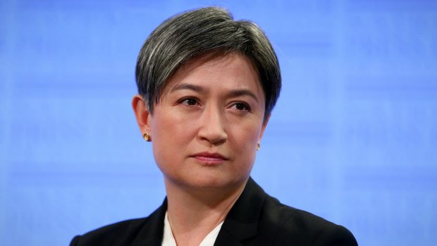 Senator Penny Wong criticised commentators who have sought to strip the element of love from marriage.