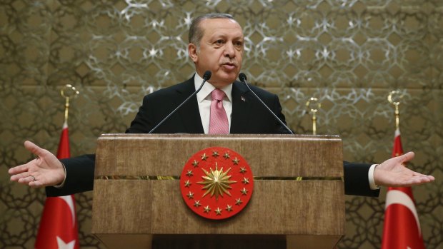 Turkish President Recep Tayyip Erdogan: argues only greater powers for the presidency can solve Turkey's crises.