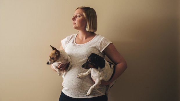 Dunlop mother-to-be Lauren Black  with her two injured dogs Lolli and Alfie. They were attacked by two roaming malamute dogs. Mrs Black is too scared to walk her dogs in Dunlop.
