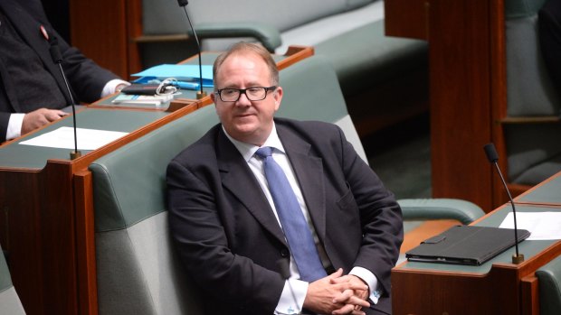 Labor MP David Feeney in the House of Representatives on Wednesday.
