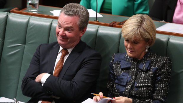 Defence Industry Minister Christopher Pyne during question time on Wednesday.