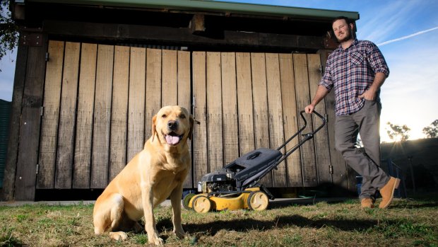 Dingo was so good at escaping, his owner Jayson Mesman only recently taught him the smell of truffles to keep the crop safe.