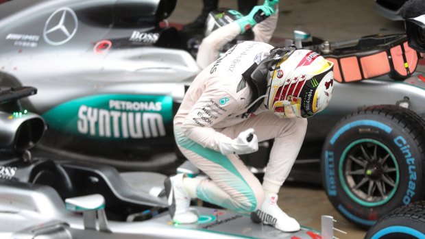 Too good: Hamilton dominated all week in Brazil.