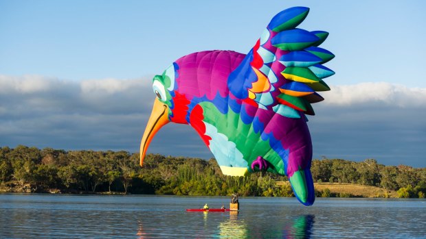 Canberra Balloon Festival 2018. The Hummingbird hot air balloon sits on the water.