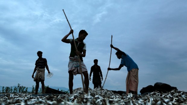 Fishermen work on the bank of the Naf River, which marks the border between Bangladesh and Myanmar, earlier this month.