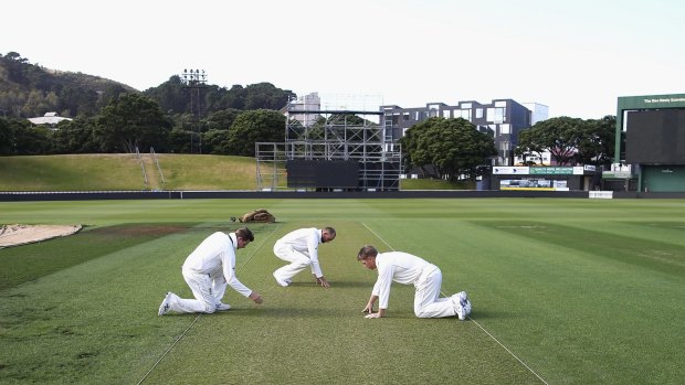 Bowlers on top: Australian skipper Steve Smith, Nathan Lyon and David Warner examine the first Test pitch in Wellington.