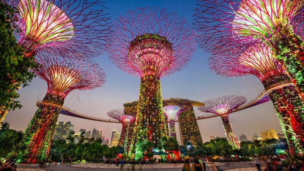 Supertrees at Gardens by the Bay. 