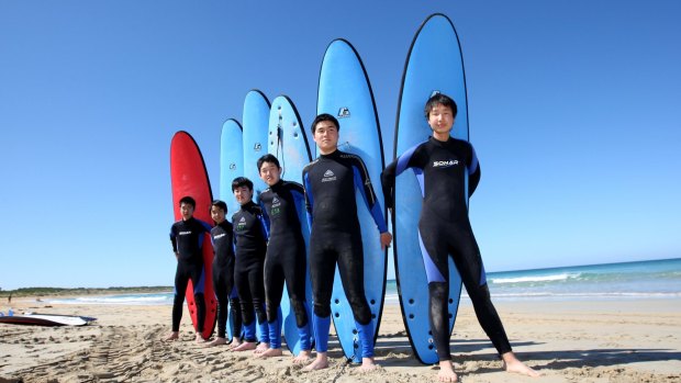 Boarders: Japanese students learn to surf during their stay in Australia. 