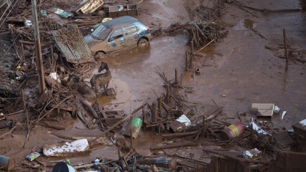 The dam collapse killed 19 people and is considered to be Brazil's worst environmental disaster.