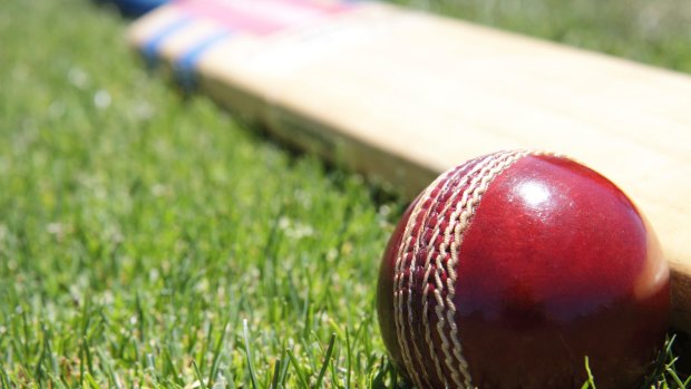 Cricket Boss Calls For Sweeping Reforms To Sports Clubs Royal Commission