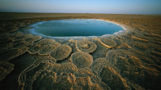 Discs of travertine ring a twelve-foot wide hot spring in the Danakil Depression, Ethiopia.