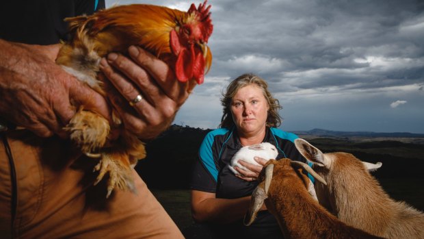 Noah's Ark Farm Friends Petting Zoo owner Cath Rogers is disappointed that the University of Canberra will no longer bring the petting zoo to assist students during exam week and other stressful periods.
