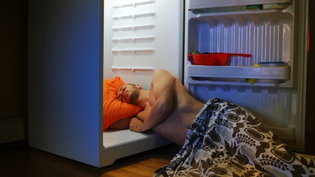 When the fridge is the most comfortable place to sleep.
