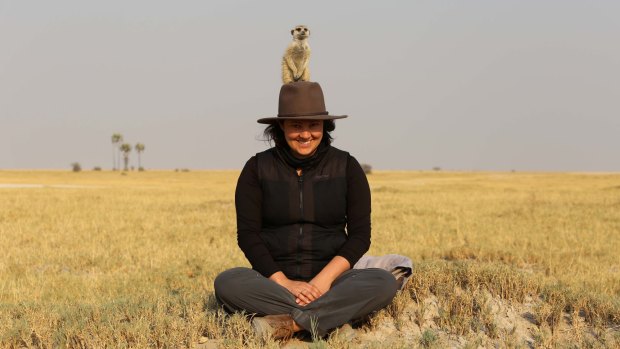 Meerkat in Makgadikgadi Salt Pan.