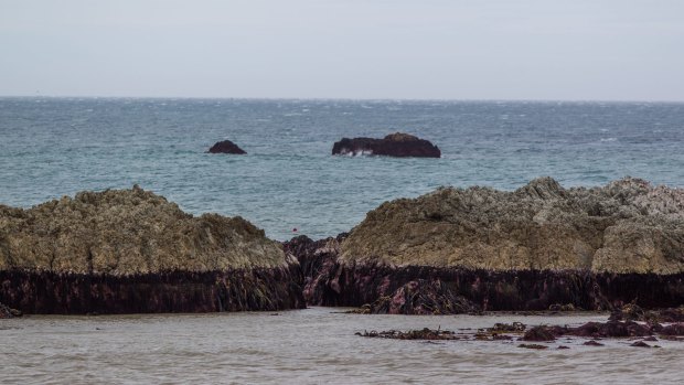 hoto- Ricky Wilson/Fairfax NZ Ward Beach Rocks have risen considerably since a 7.5 earthquake. 