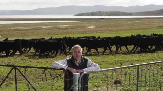 Luke Osborne at his grazing property Ellendon on the shores of Lake George, north of Bungendore, with some of his Angus cattle.
