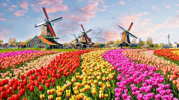 The Netherlands Board of Tourism and Conventions previously used the symbol of a tulip and the word 'Holland' in its marketing.