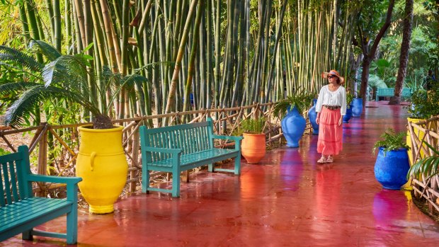 Jardin Majorelle Garden, Marrakesh.