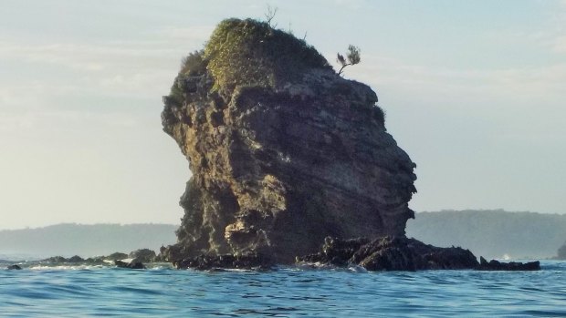 Does Snapper Island near Batemans Bay look like a monkey's head to you? 