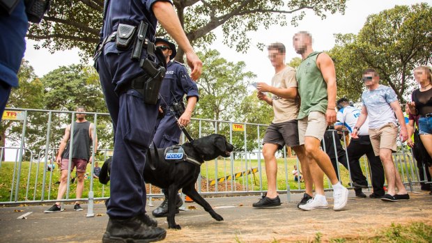 Police and sniffer dogs  were a strong presence during the 2016 Harbourlife music festival in Sydney.