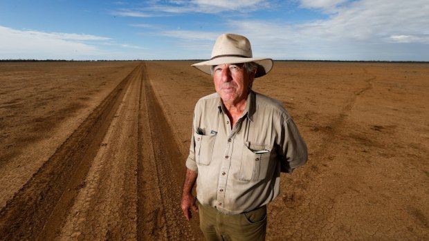 Bill Murray's field in Walgett has not carried a crop for the last four years.