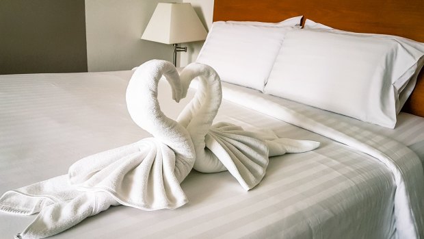 Intrusive and creepy? Swans shaped out of towels.
