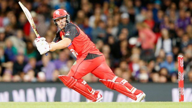 Renegades' captain Aaron Finch reached 60 at Bellerive Oval as the Renegades reached 5-141 in reply to the Hurricanes' 5 for 140.
