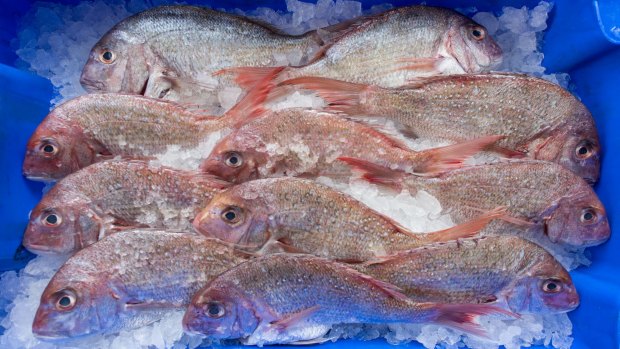 Fresh fish from Port Philip Bay - Dennis White's family has been fishing the lower reaches of Port Phillip Bay for decades. 