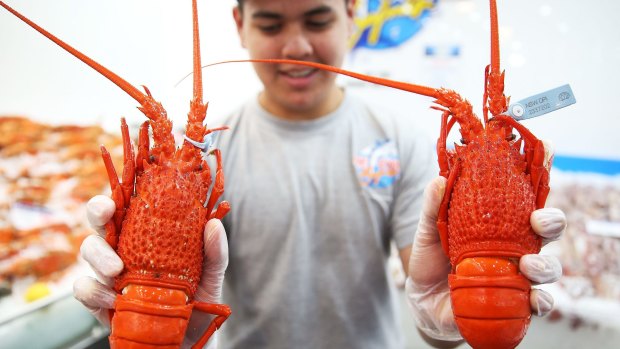 Lobsters for sale: The 36-hour marathon sale at the fish markets is "logistically a very big task".
