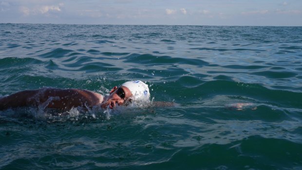 Marathon swimmer Chloe McCardel was the fourth person to swim the English Channel three times in a row.
