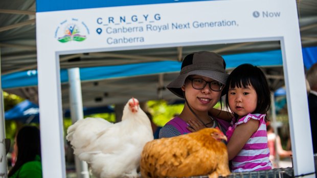 Betty Zhang with her daughter Yuting Hu,3, of Watson checking out the chickens at the Canberra Show's launch.