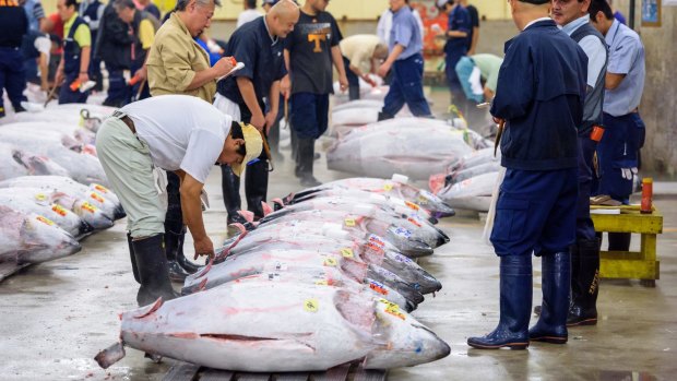 The tuna auction at Tsukiji Market. If you want to be one of the few tourists allowed to see it, you'd best arrive at 3am.