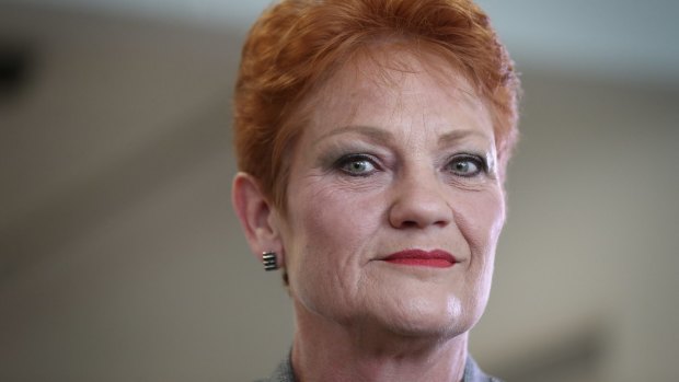 One Nation's Pauline Hanson supports reform of the lobbying code of conduct.