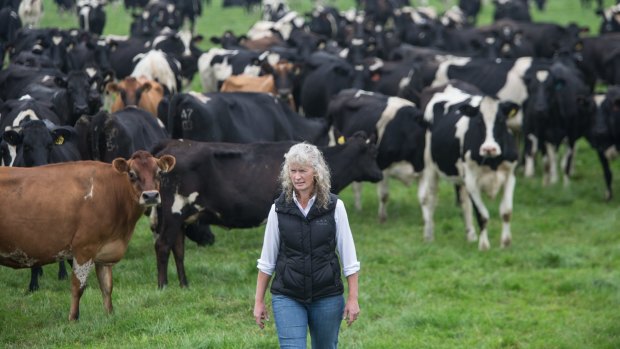 Dairy farmer Kate Lamb described Murray Goulburn's milk price cut as ''a kick in the guts''.
