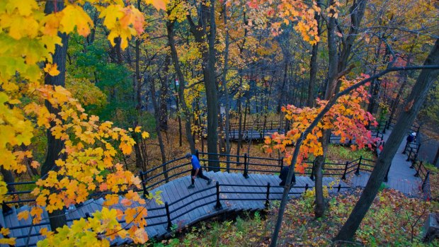 Some of the many stairs leading to Parc du Mont-Royal..