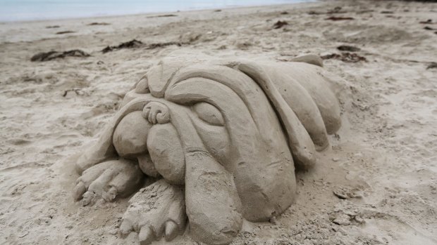 Mystery sand sculptor Richard's roly poly dog on East Beach in Port Fairy. 