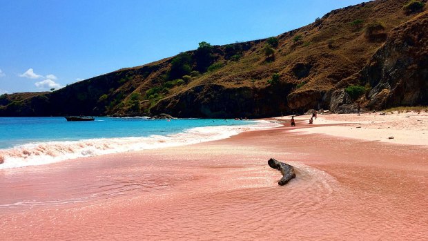 Another of Komodo's natural wonders - the pink beach.