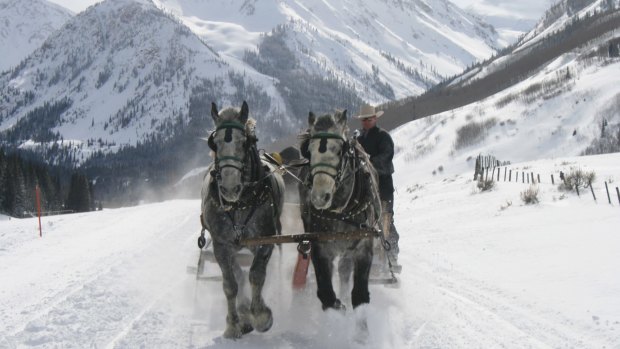 Take a horse-drawn sleigh ride to the Pine Creek Cookhouse.