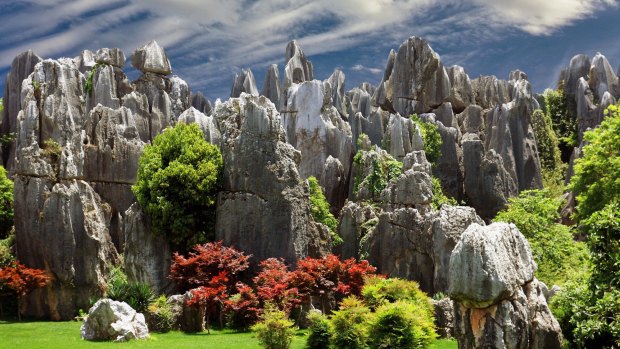 The Stone Forest in the Yunnan Province in China. 