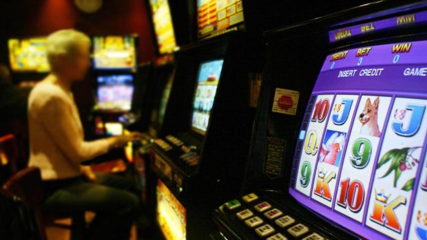 Labor has backed loyalty cards for pokies machine gamblers – a complete backflip from its position in opposition.