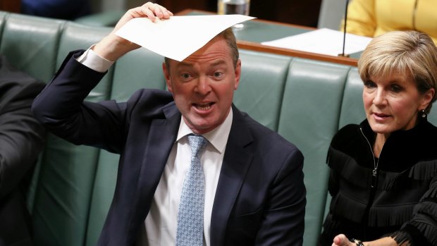 Minister for Defence Industry and manager of government business Christopher Pyne.