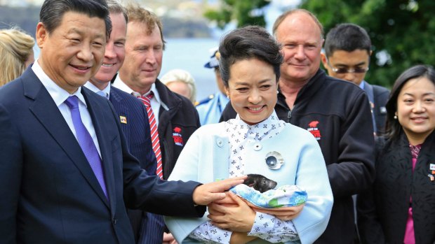 Chinese President Xi Jinping and Madame Peng Liyuan with a Tasmanian devil during their 2014 visit to Hobart.