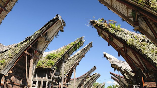 Tongkonan house on the Palawa village in south Sulawesi.