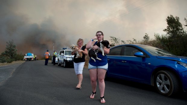 Calissa Wallace with her mum and two dogs, walking away from the flames that had engulfed their Carwoola home on Widgiewa Road.