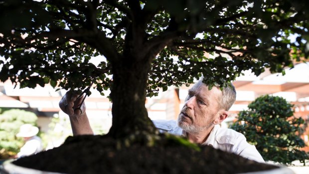 Kenn Basham has been living with HIV since 1986. He volunteers at The National Bonsai and Penjing Collection and the National Arboretum.
